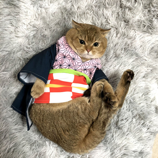 Demon Slayer Pet Cosplay